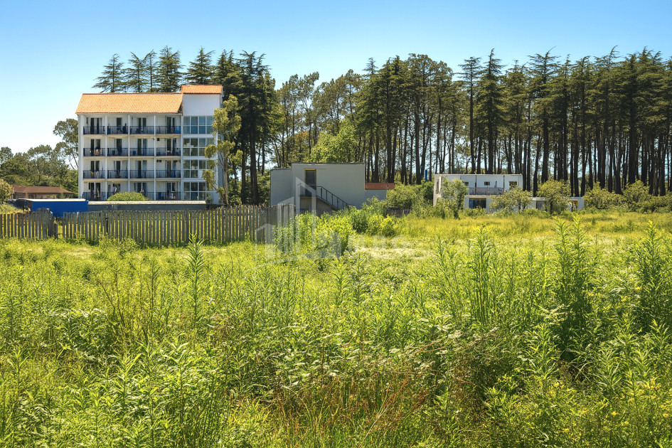 For Sale Land Daba Shekvetili Ozurgeti Municipalities of Guria