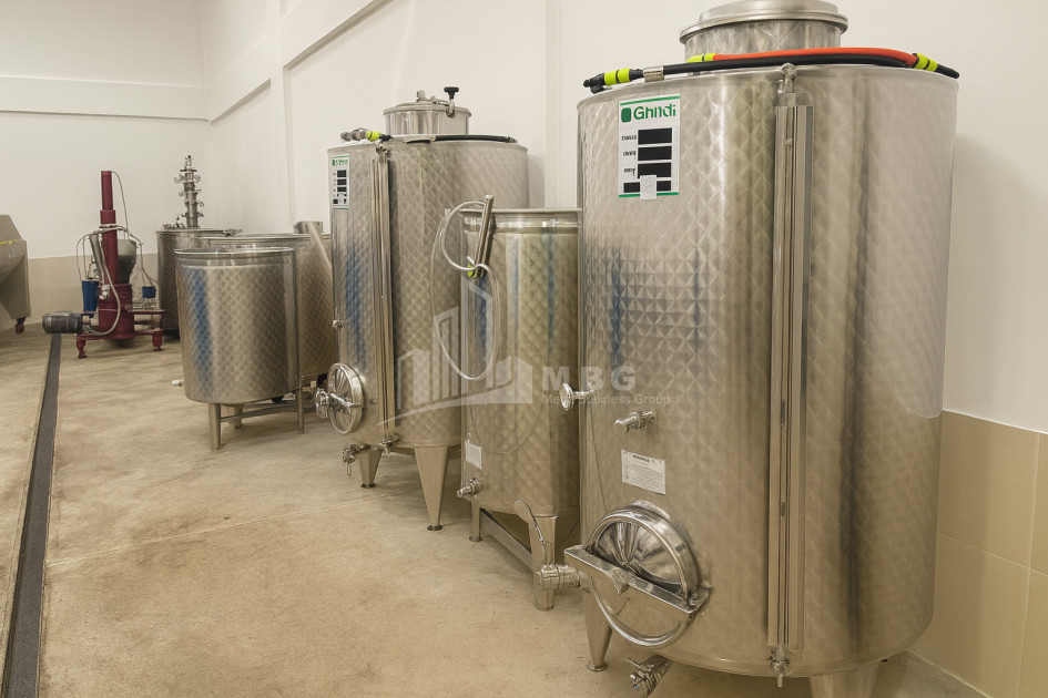 იყიდება კომერციული ფართი დოესი კასპი შიდა ქართლი