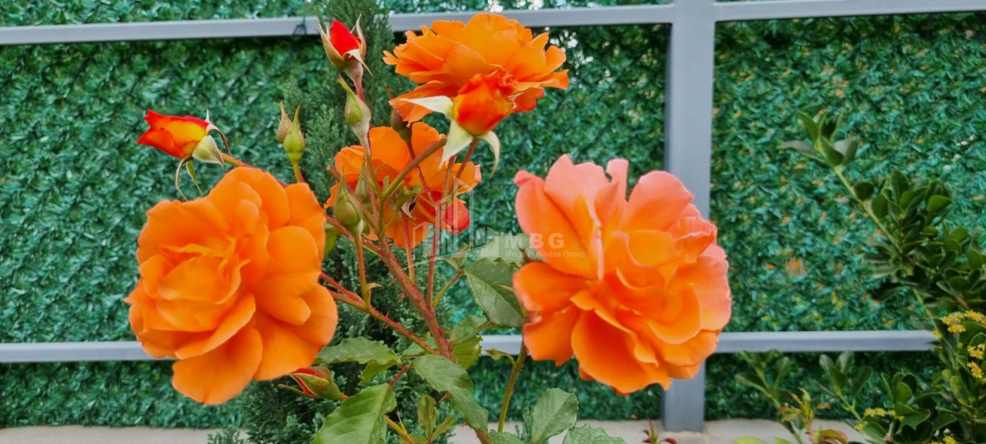 Продается Дом - Вилла В Коджори, Мтацминда Район