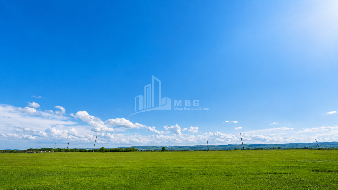 For Sale Vineyard - Chateau Land In Manavi, Sagarejo