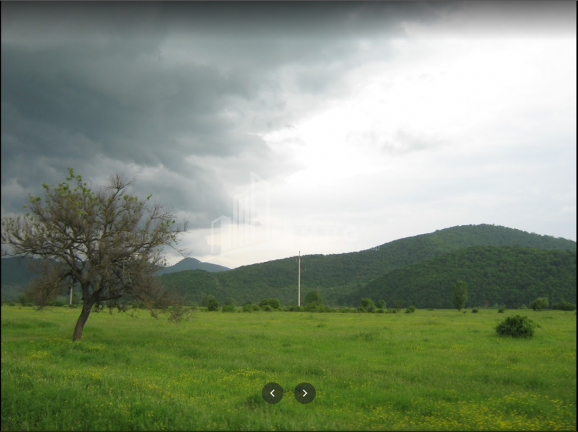 For Sale Vineyard - Chateau Land, in Matani