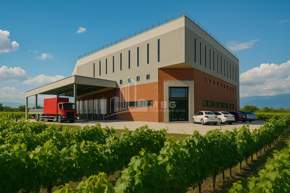 Продается Коммерческий Охио Ахмета Кахети