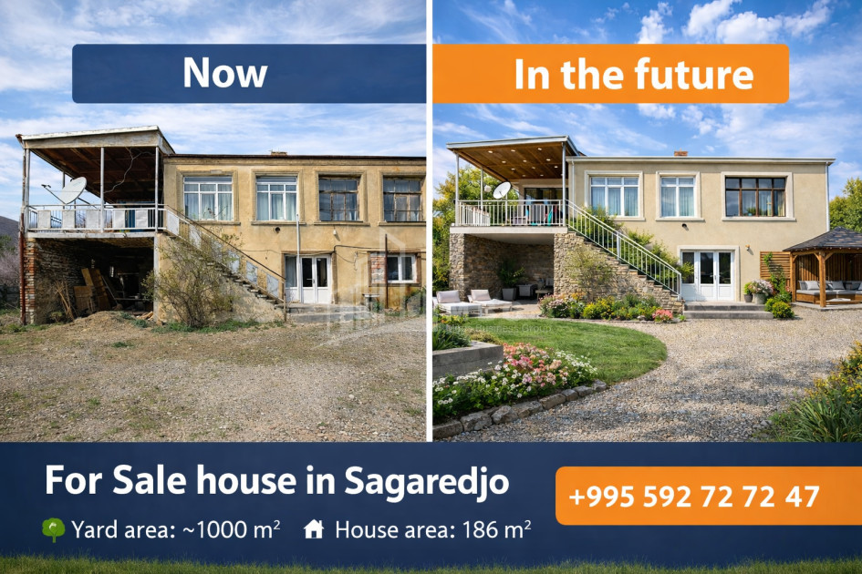 For Sale Old building House - Villa In Sagarejo