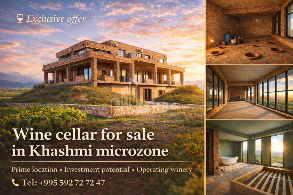 იყიდება შატო / ღვინის ქარხანა / მარანი კომერციული ფართი ხაშმში, საგარეჯო