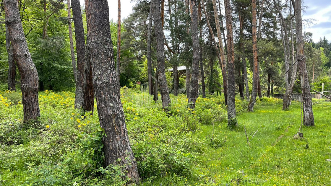 იყიდება სააგარაკე მიწის ნაკვეთი, ონი