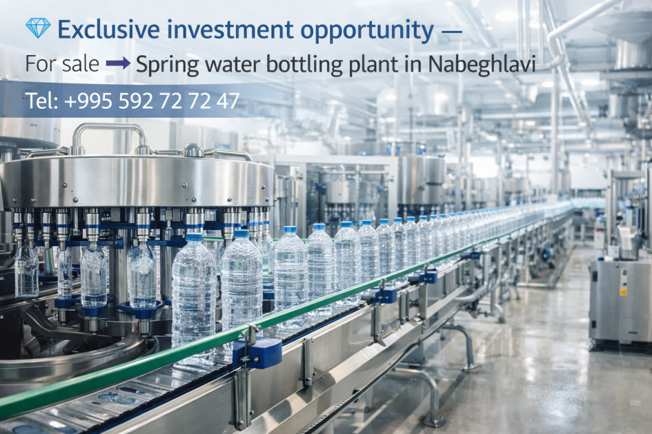 For Sale Commercial Nabeghlavi Chokhatauri Municipalities of Guria