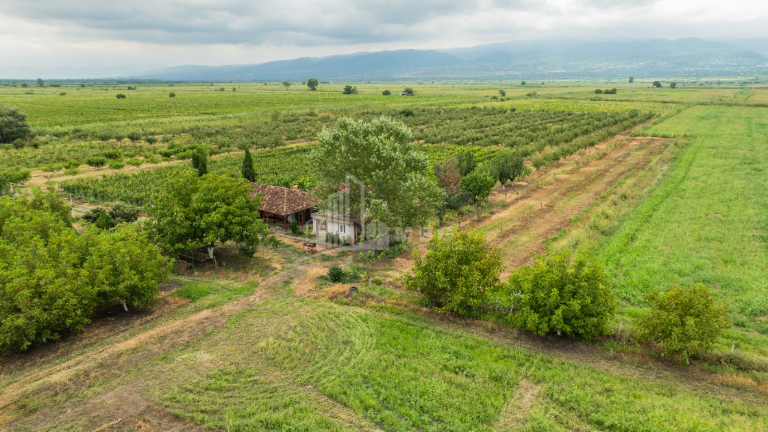 For Sale Land Kakheti