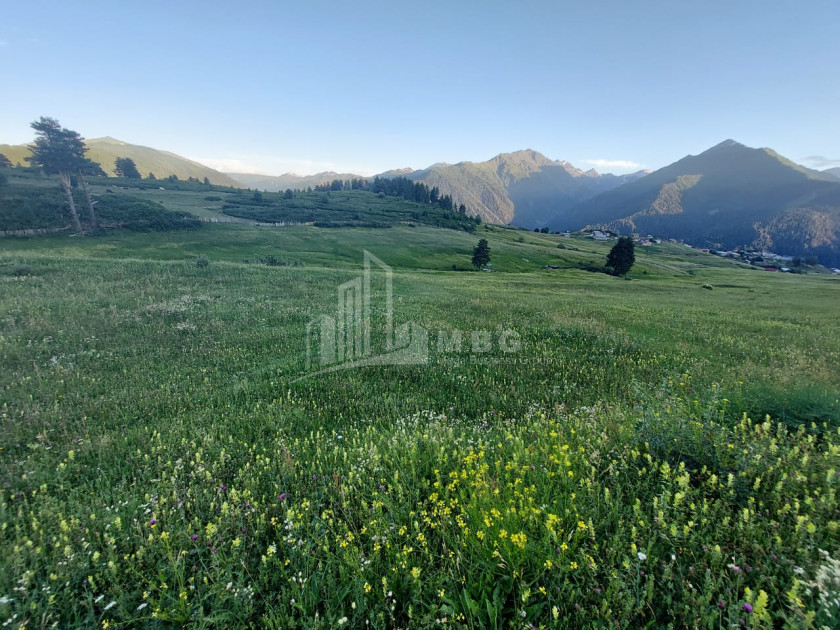 For Sale Land Tsvirmi Mestia Samegrelo   Upper Svaneti