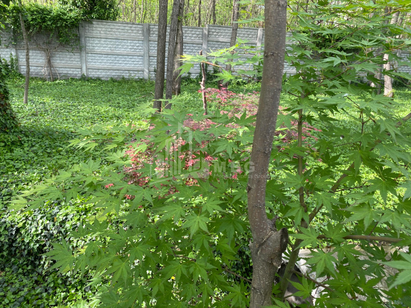 იყიდება ბიზნესი კომერციული ფართი თელავი კახეთი