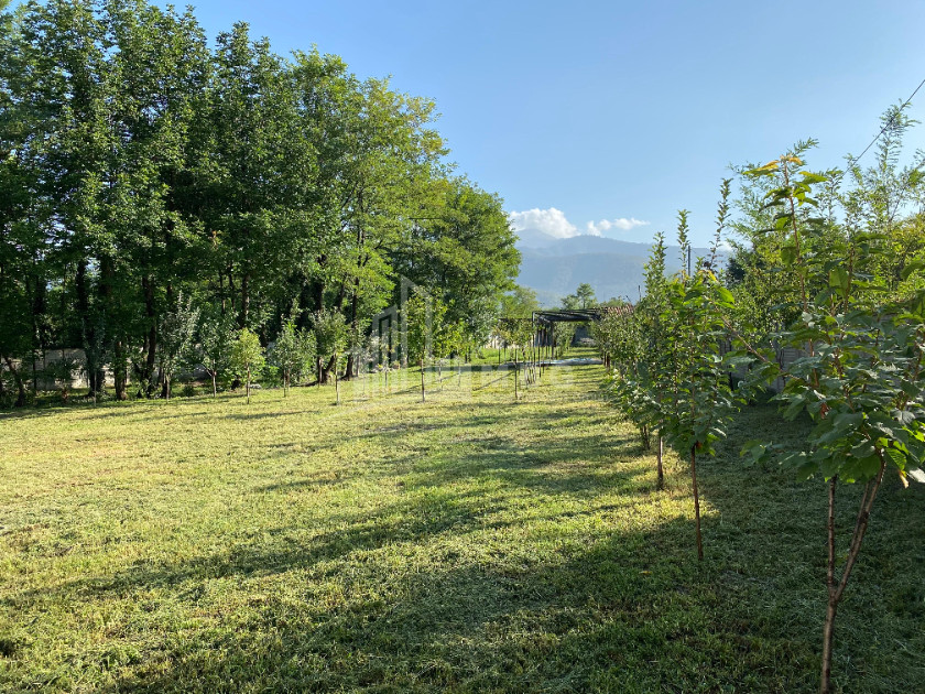 იყიდება ბიზნესი კომერციული ფართი თელავი კახეთი