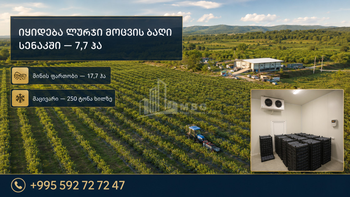 For Sale Orchards Land In Senaki