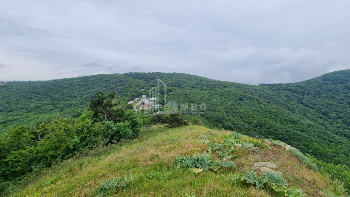 Продается Дом - Вилла В Коджори, Мтацминда Район