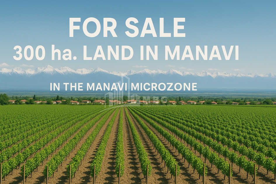 იყიდება მიწის ნაკვეთი მანავი საგარეჯო კახეთი