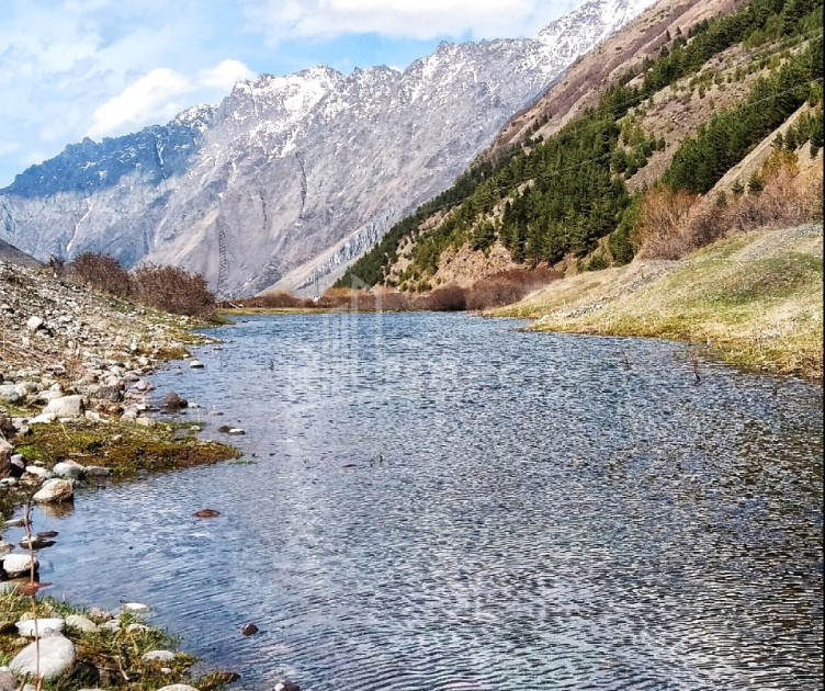 For Sale Land Achkhoti Kazbegi Mtskheta   Mtianeti