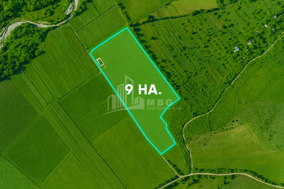 For Sale Land Bolnisi Kvemo Kartli