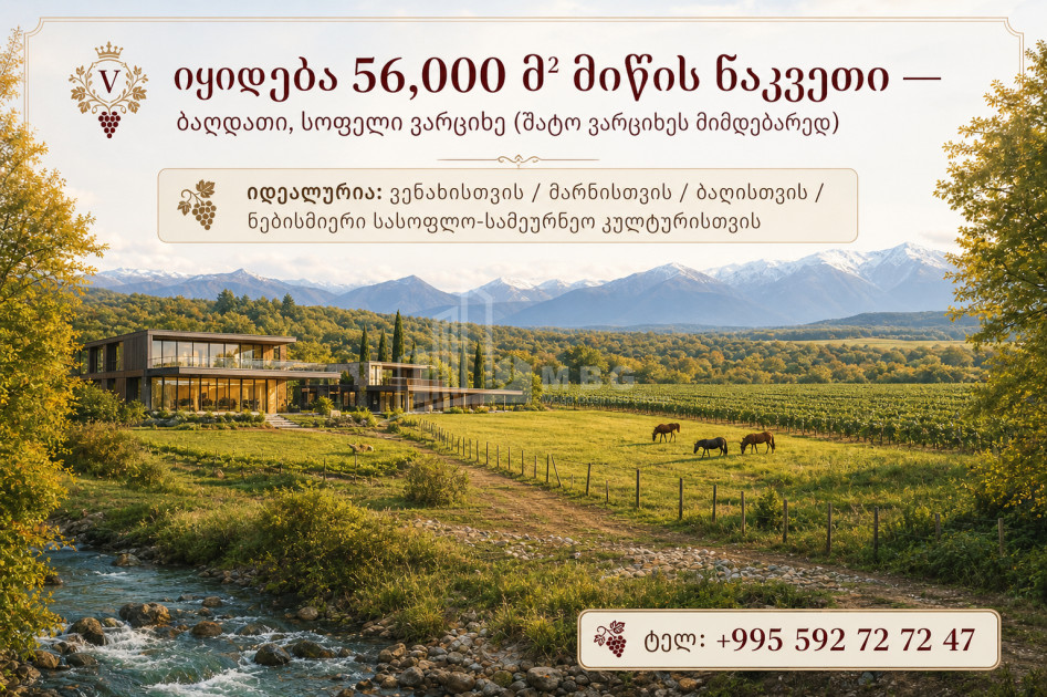 For Sale Country Land In Imereti