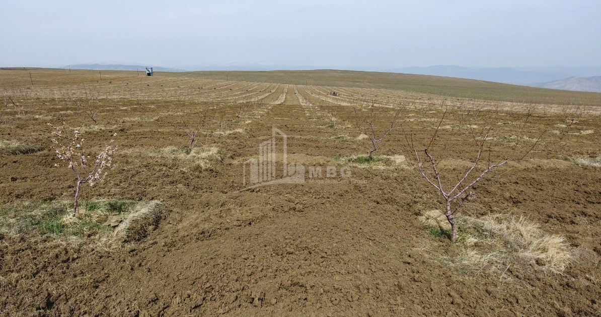 For Sale Land, Kaspi Municipality, Municipalities of Shida Kartli