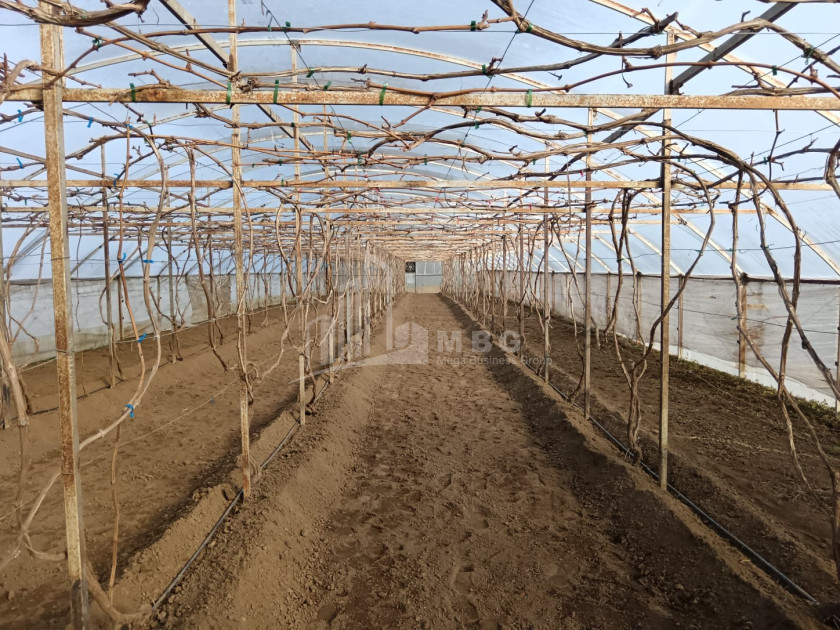 For Sale Land, Nosiri, Senaki, Samegrelo