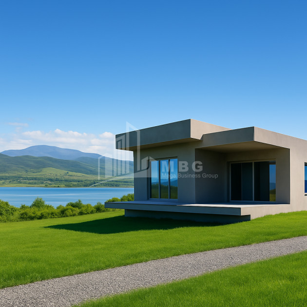 For Sale House Villa Bazaleti Dusheti Mtskheta   Mtianeti