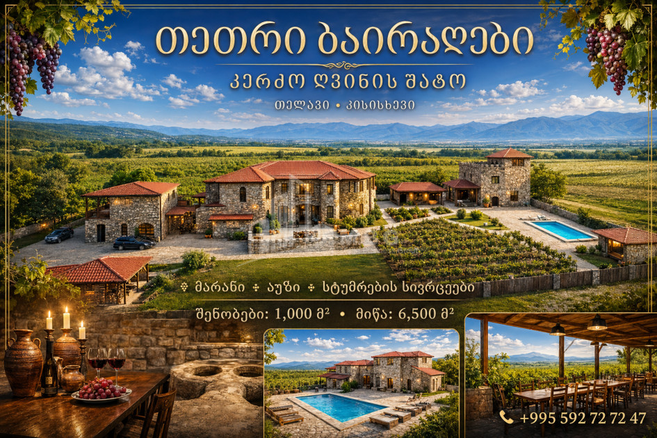 იყიდება შატო / ღვინის ქარხანა / მარანი კომერციული ფართი კახეთში