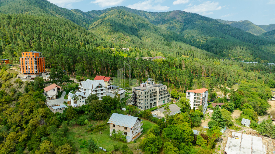 For Sale Commercial Likani Borjomi Samtskhe   Javakheti