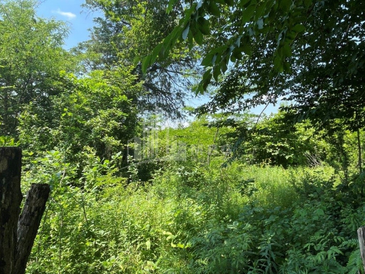 Продается Дачные Земля, в Сенакски