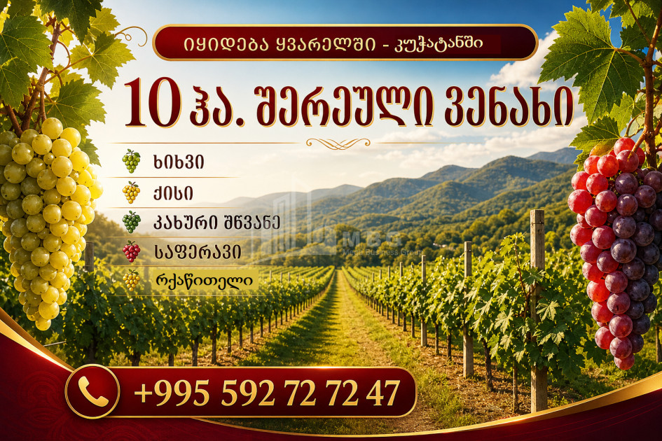For Sale Vineyard - Chateau Land In Kuchatani, Kvareli
