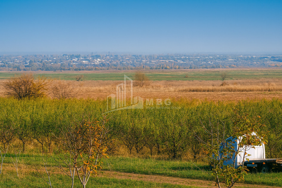 For Sale Land Village Shaumiani Marneuli Kvemo Kartli