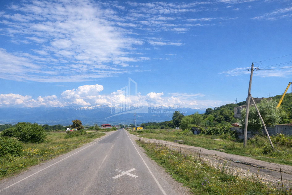 For Sale Land Telavi Kakheti