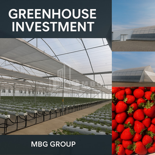 For Sale Land Marneuli Kvemo Kartli