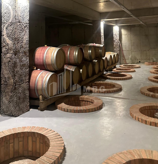 Продается Коммерческий Охио Ахмета Кахети