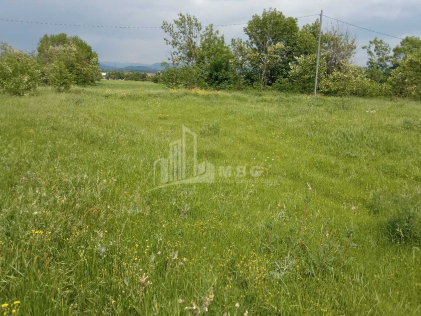 For Sale Country Land, in Bazaleti