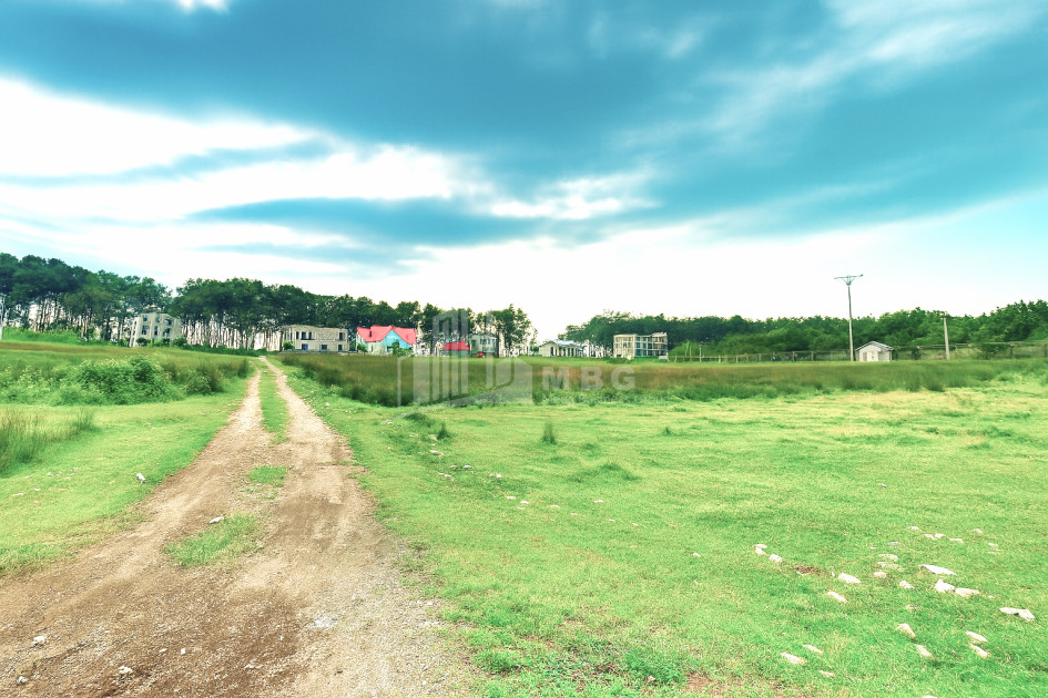 For Sale Land Daba Shekvetili Ozurgeti Municipalities of Guria