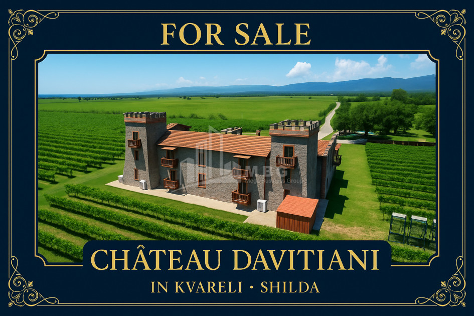 For Sale Commercial Kvareli City Kvareli Kakheti