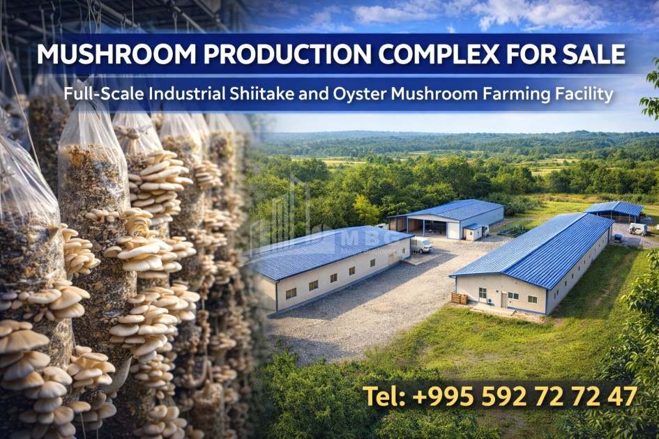 For Sale Commercial Okami Kaspi Shida Kartli