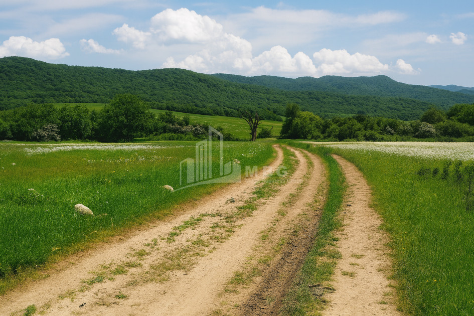 Продается Земля Гомбори Сагареджо Кахети