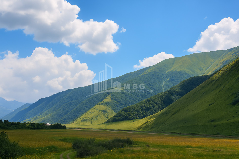 For Sale Land Achkhoti Kazbegi Mtskheta   Mtianeti