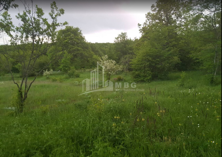 For Sale Residential Land, in Kveseti