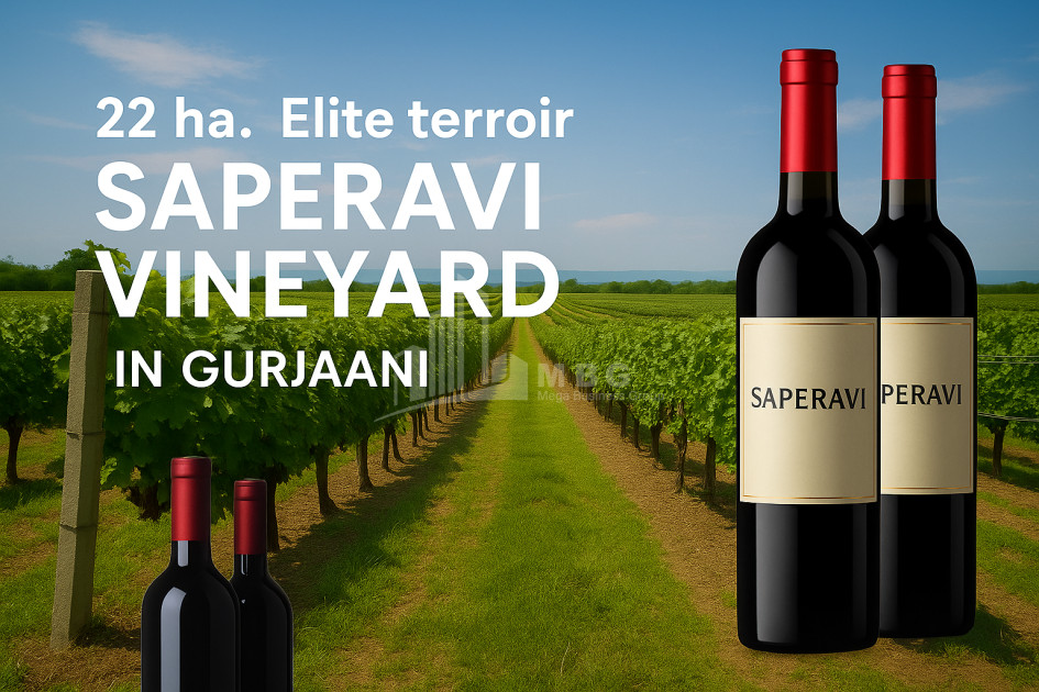 იყიდება მიწის ნაკვეთი ზეგაანი გურჯაანი კახეთი