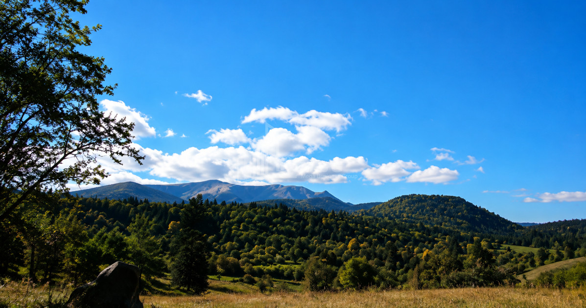 For Sale Country Land In Andesite, Borjomi