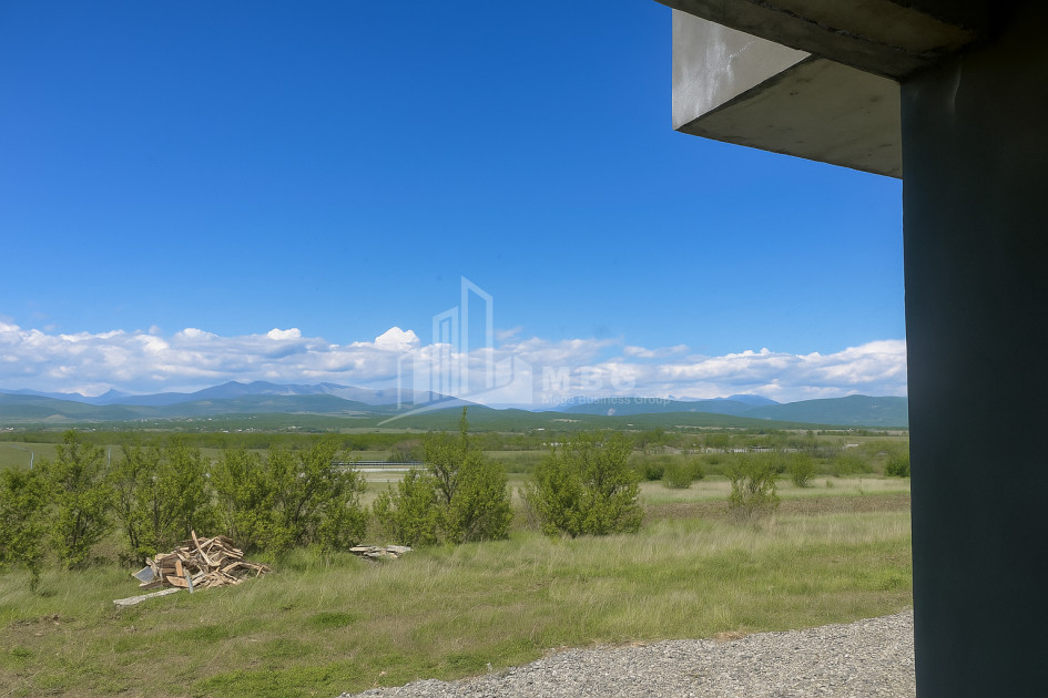 For Sale House Villa Bazaleti Dusheti Mtskheta   Mtianeti