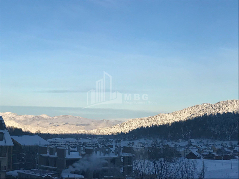 For Sale Hostel - Guesthouse Commercial In Bakuriani, Borjomi