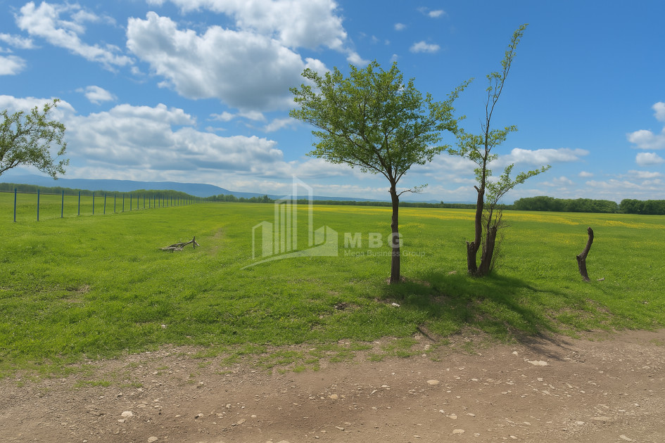 For Sale Land Vartsikhe Baghdati Imereti
