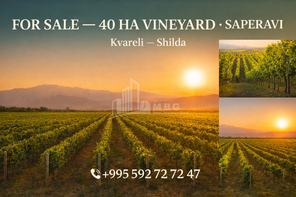 For-Sale-Land-Shilda-Kvareli-Kakheti
