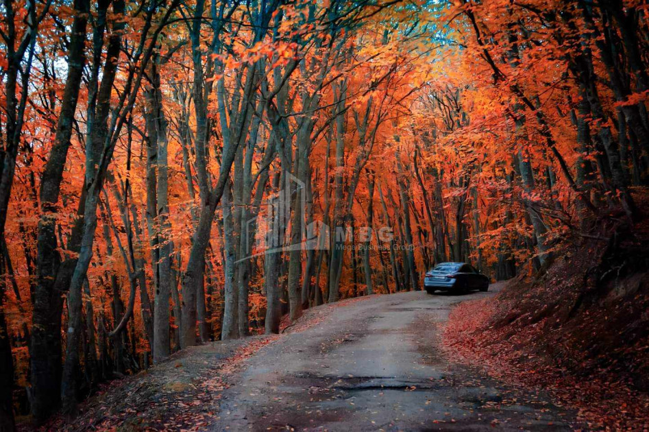 Продается Дом - Вилла В Коджори, Мтацминда Район