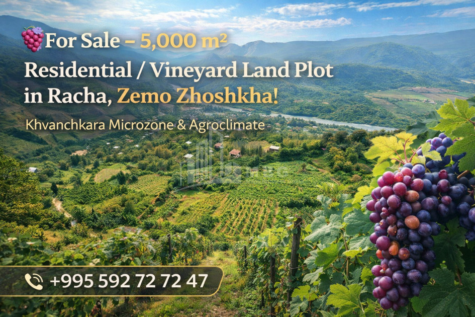 For Sale Vineyard - Chateau Land In Zemo Joshkha, Ambrolauri