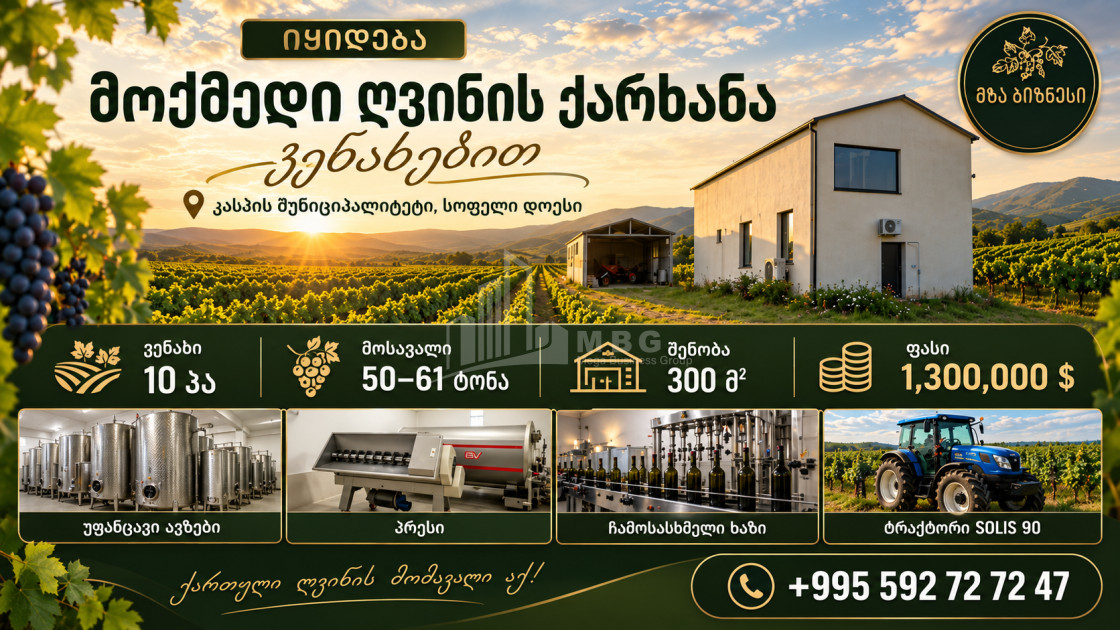 For Sale Chateau / Wine factory Commercial In Does, Kaspi