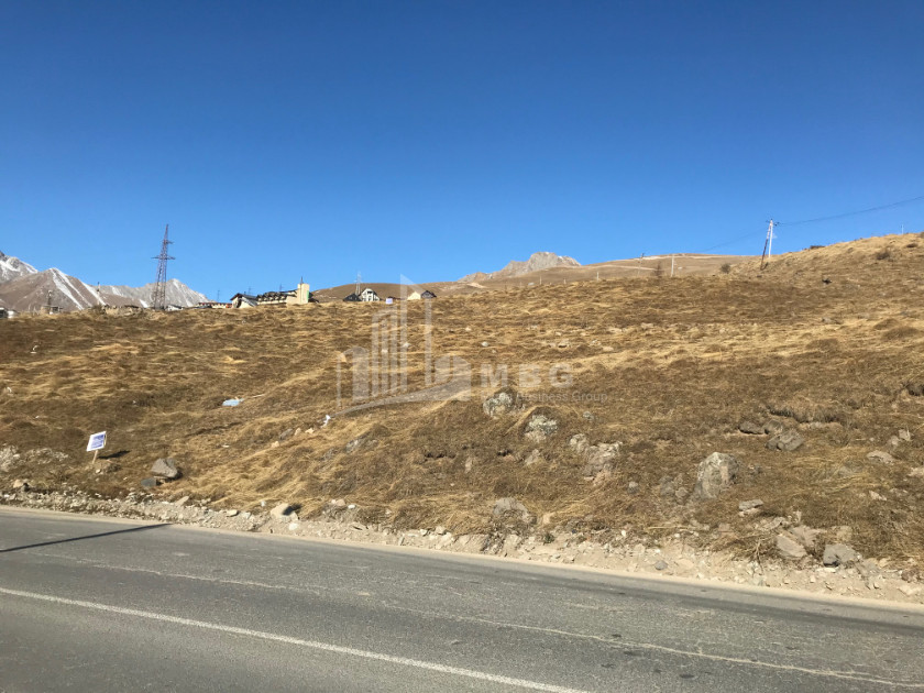 For Sale Land Akhali Gudauri Kazbegi Mtskheta   Mtianeti