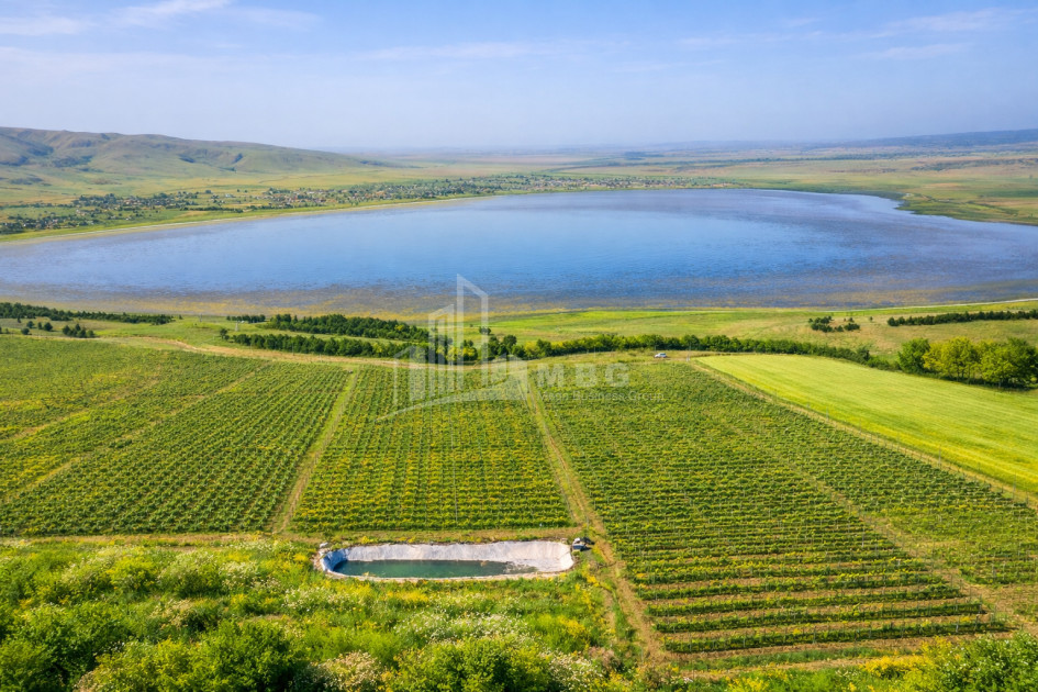 For Sale Land Kumisi Gardabani Kvemo Kartli