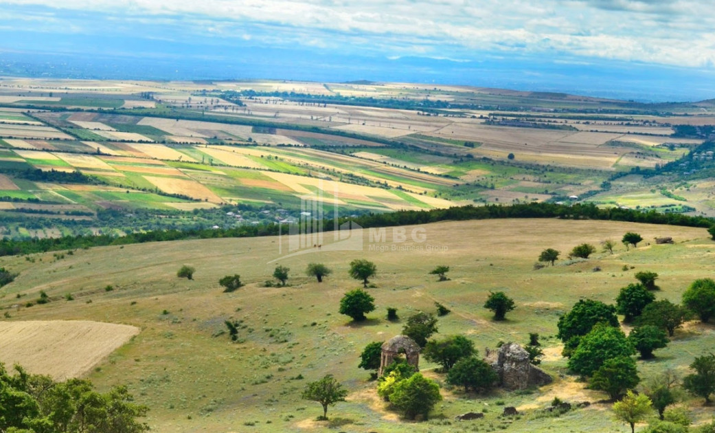 For Sale Land Pantiani Kaspi Shida Kartli